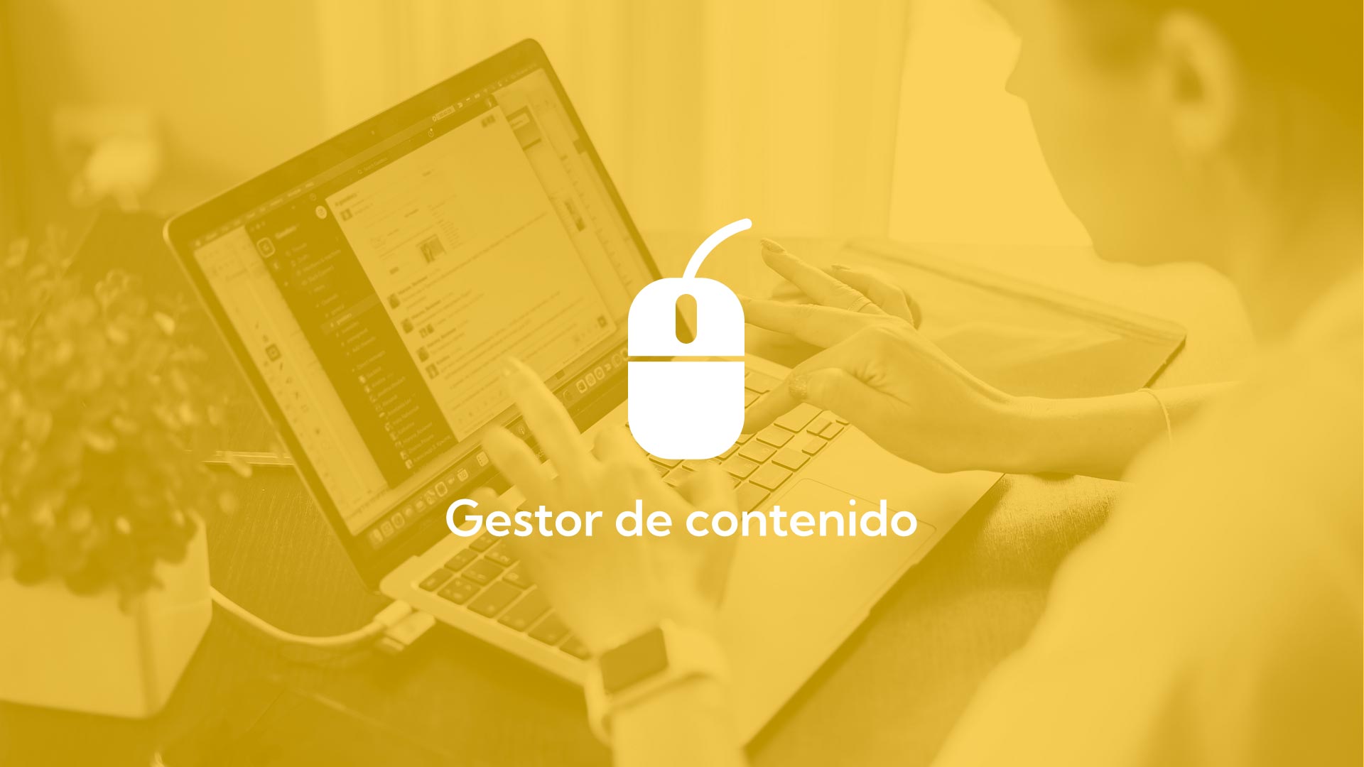 gestor y editor de contenido de Gestaplus