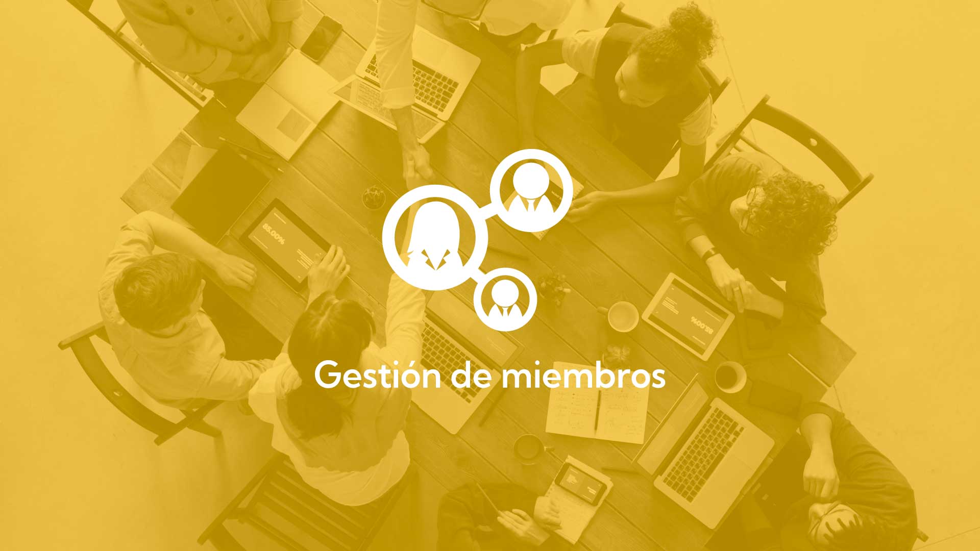 Gestiona los miembros de tu organización de gestaplus